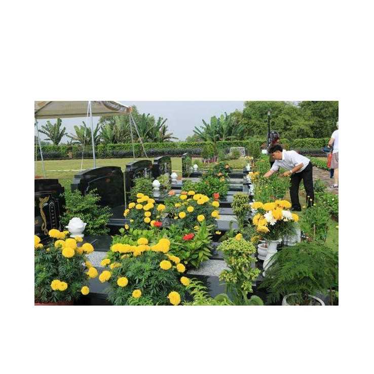 Trồng Cây Phong Thủy Cho Khu Lăng Mộ Đá: 5 Loại Cây Đại Cát - Lăng Mộ Đá Trường Thành